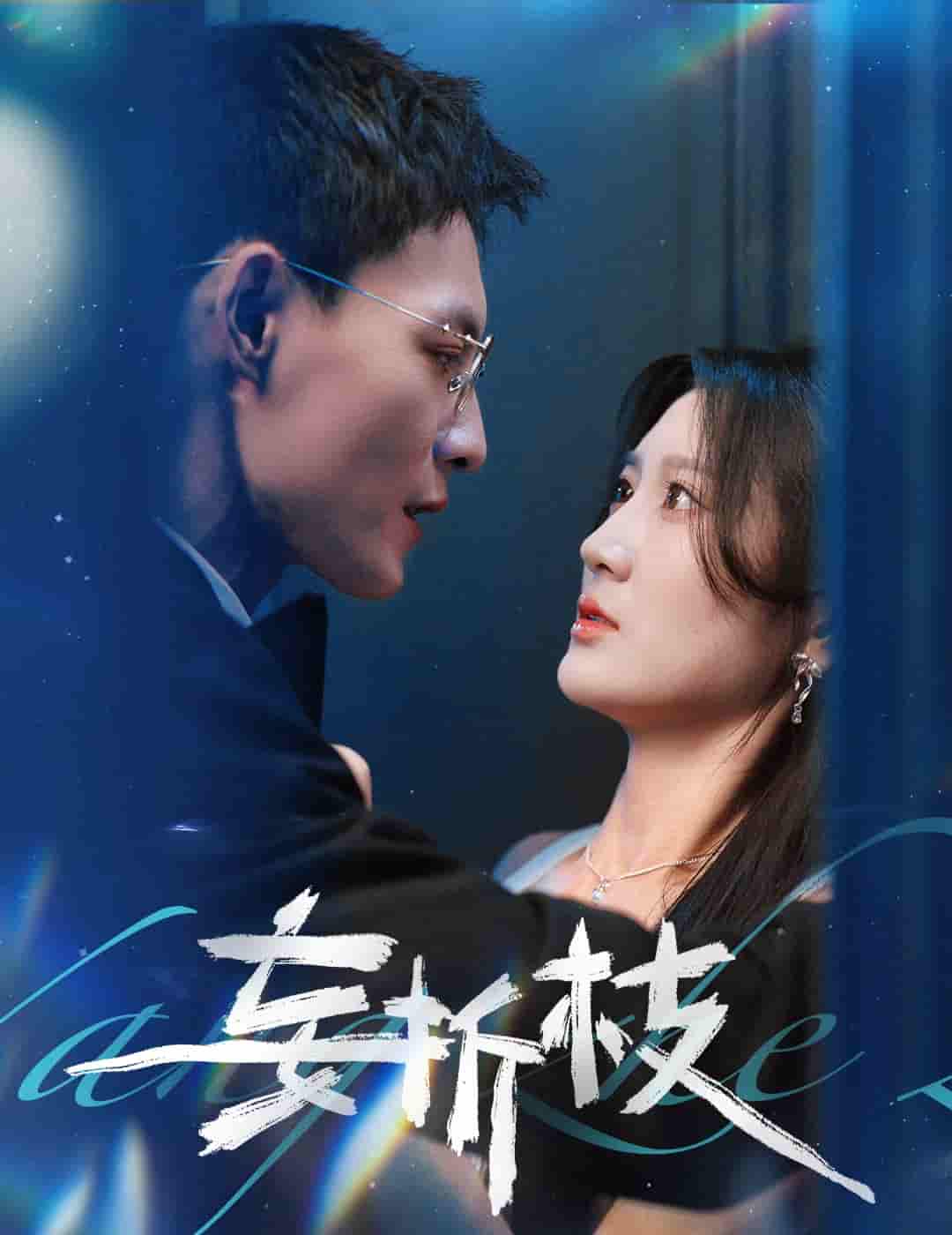 妄折枝 - 短剧短剧海报图片