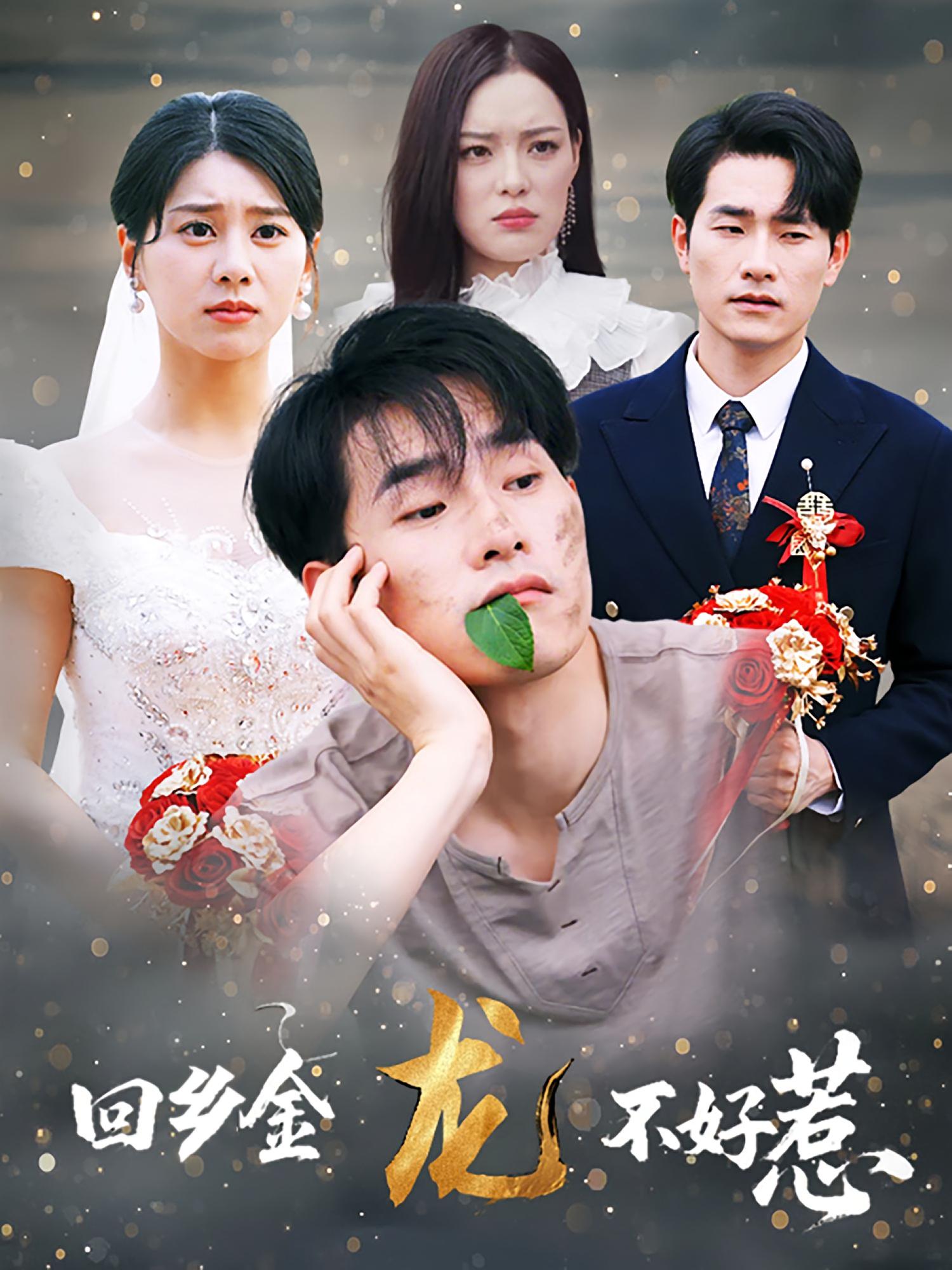 回乡金龙不好惹 - 短剧短剧海报图片