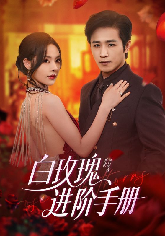 白玫瑰进阶手册 - 短剧短剧海报图片