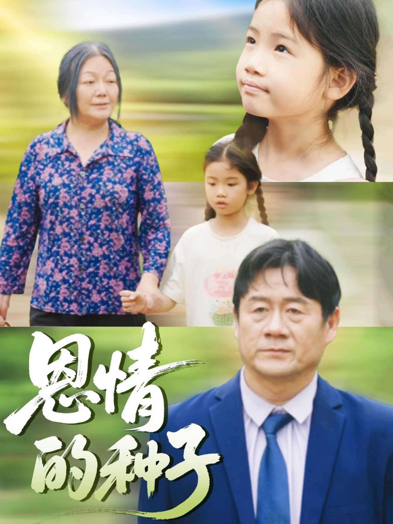 恩情的种子 - 短剧短剧海报图片
