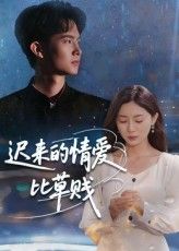 迟来的情爱比草贱 - 短剧短剧海报图片