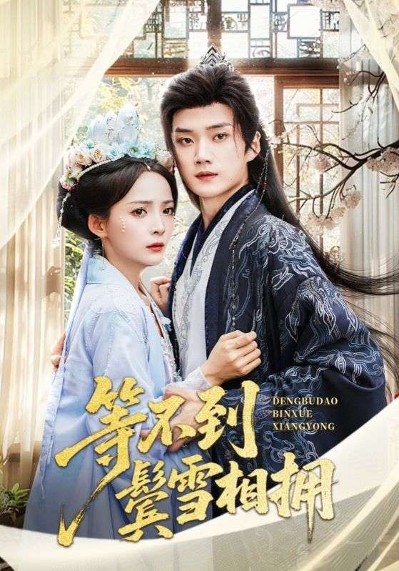 等不到鬓雪相拥 - 短剧短剧海报图片