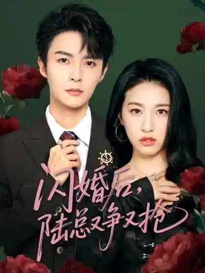 闪婚后陆总又争又抢 - 短剧短剧海报图片