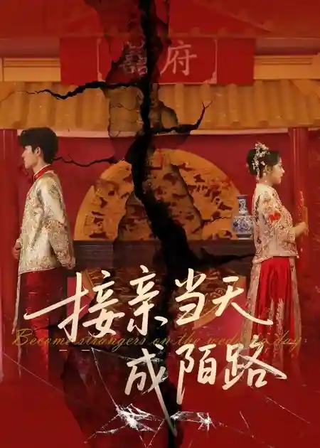 接亲当天成陌路 - 短剧短剧海报图片
