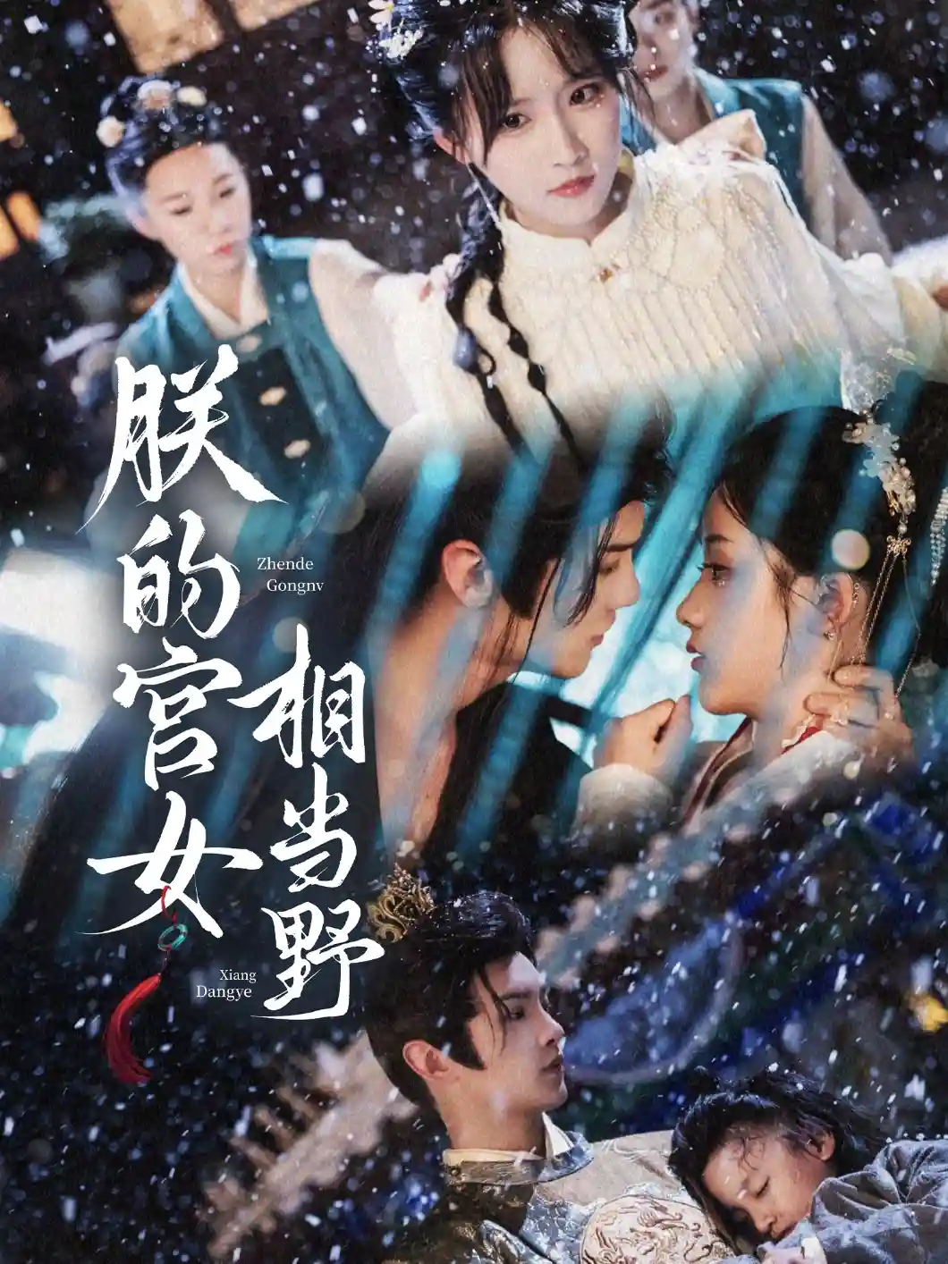 朕的宫女相当野 - 短剧短剧海报图片