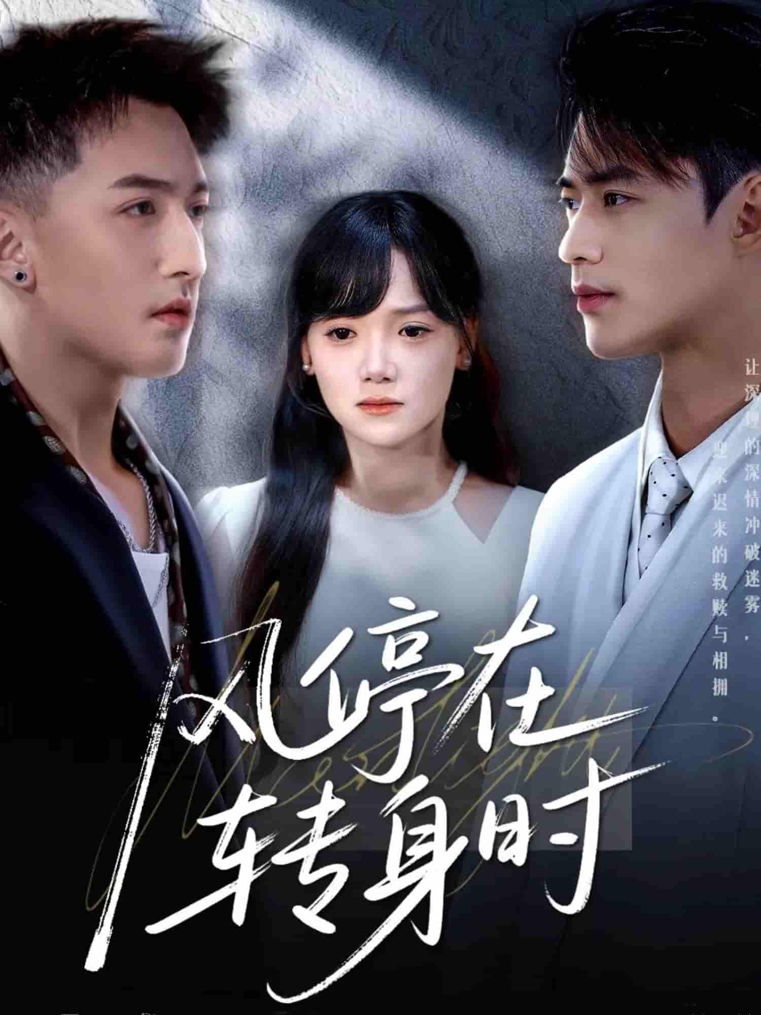 风停在转身时 - 短剧短剧海报图片