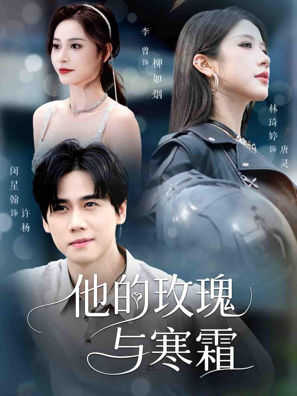 他的玫瑰与寒霜 - 短剧短剧海报图片