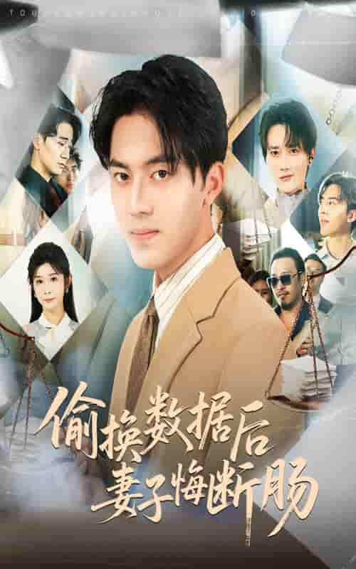 偷换数据后妻子悔断肠 - 短剧短剧海报图片