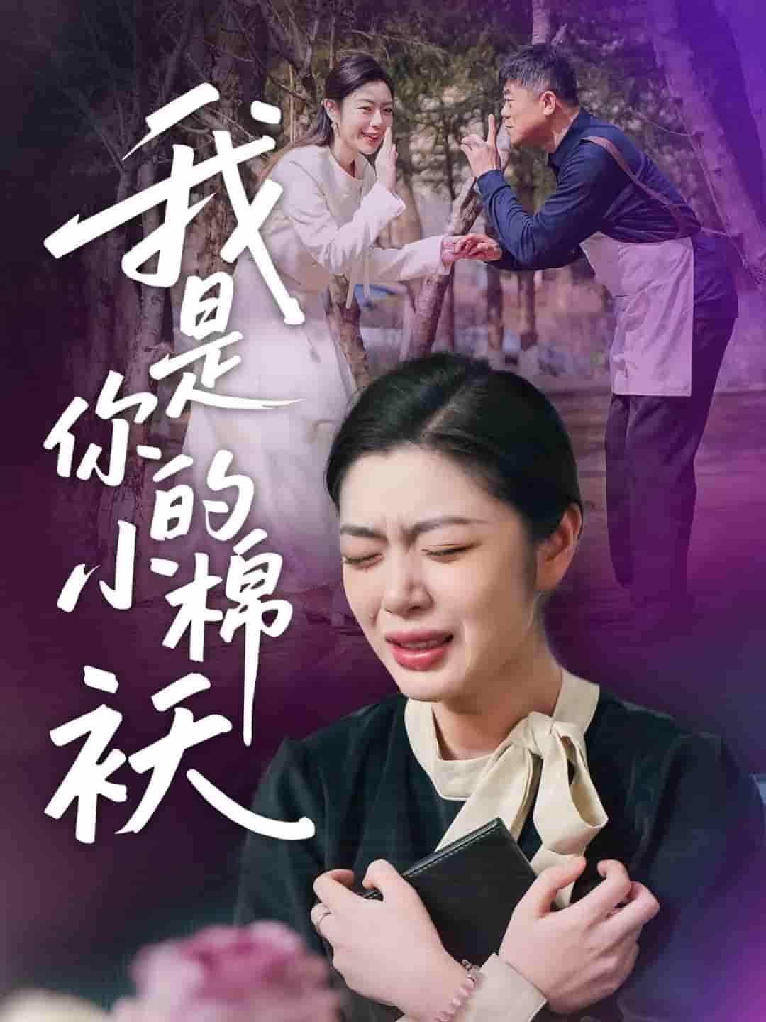 我家的小棉袄＆我是你的小棉袄 - 短剧短剧海报图片