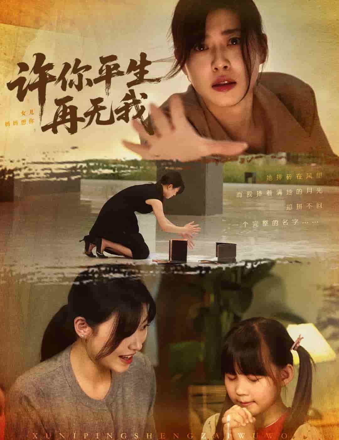 许你平生再无我 - 短剧短剧海报图片