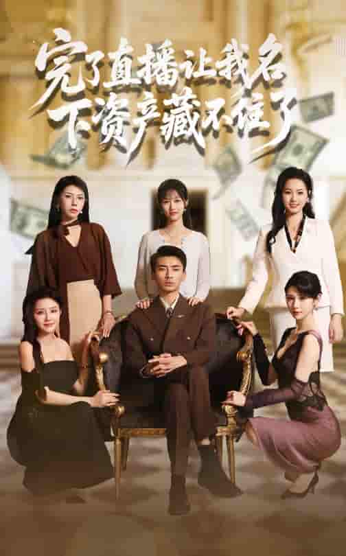 完了直播让我名下资产藏不住了 - 短剧短剧海报图片