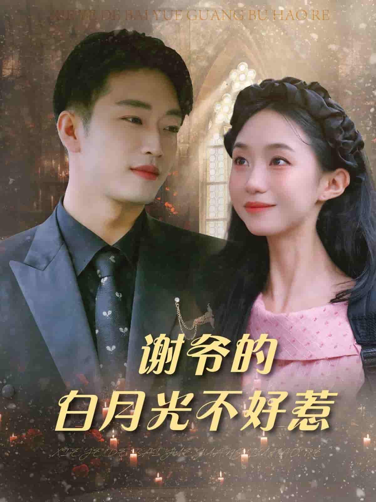 谢爷的白月光不好惹 - 短剧短剧海报图片