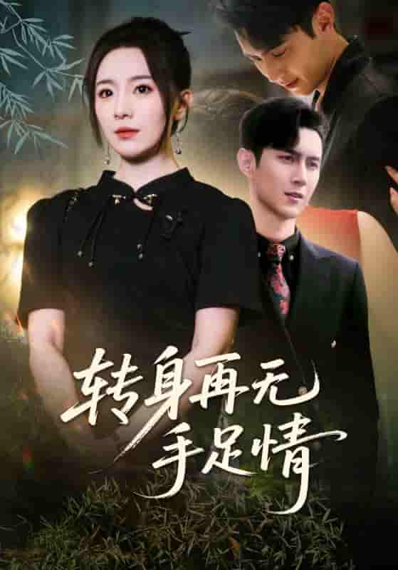 转身再无手足情 - 短剧短剧海报图片