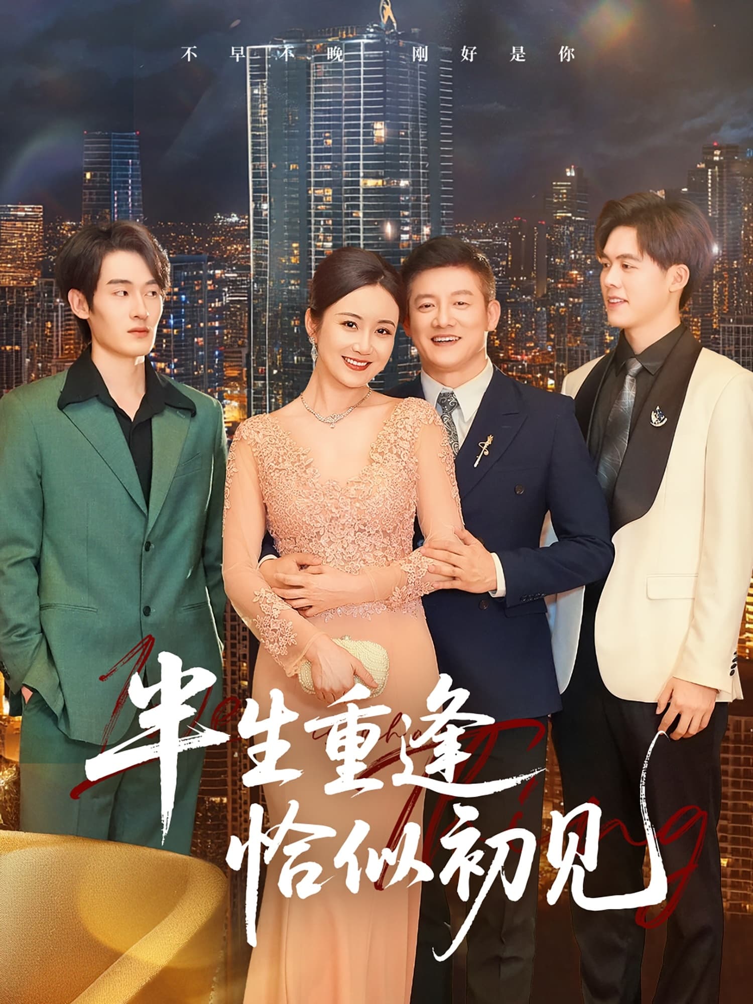 半生重逢恰似初见 - 短剧短剧海报图片