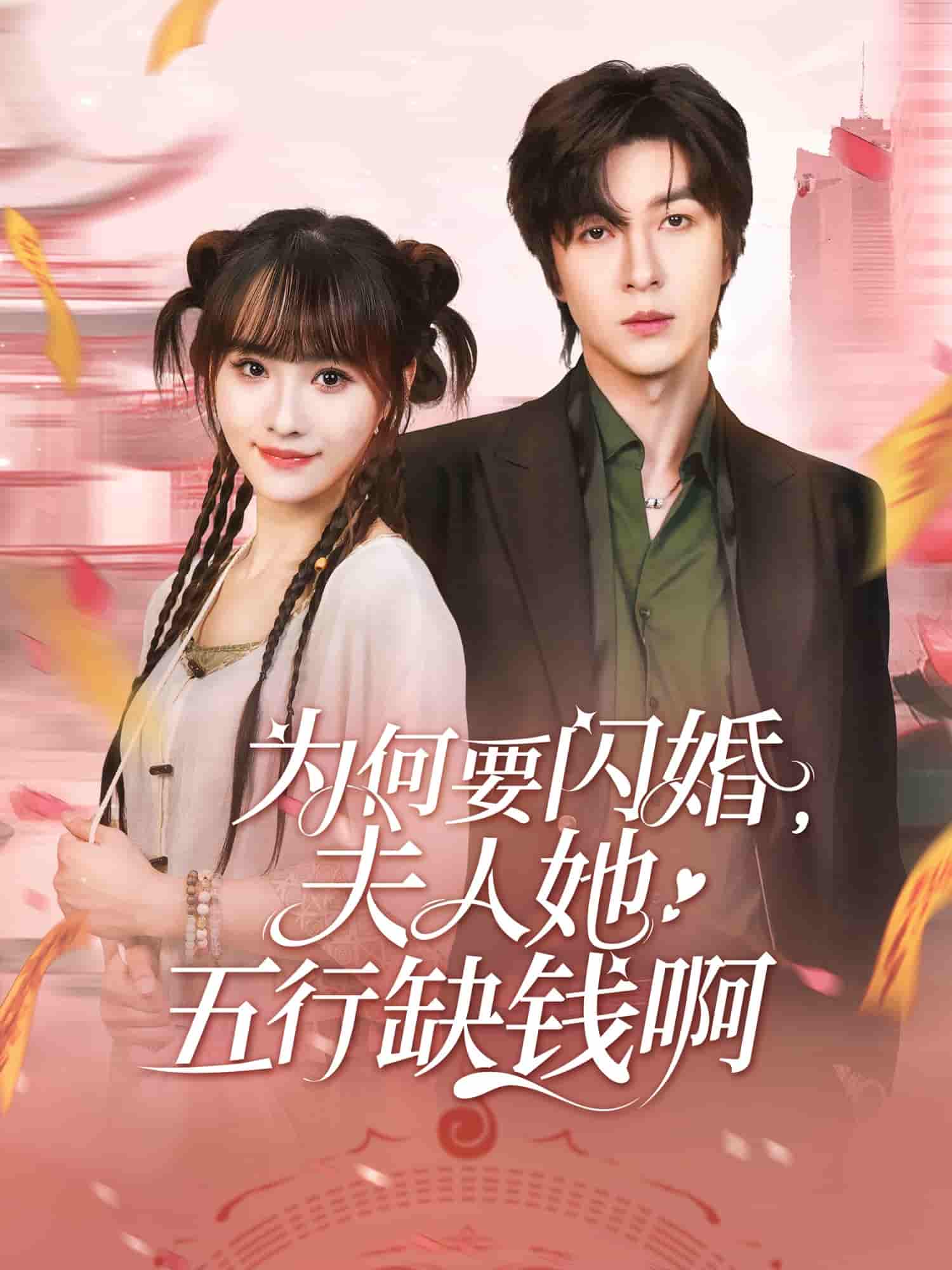 为何要闪婚夫人她五行缺钱啊 - 短剧短剧海报图片
