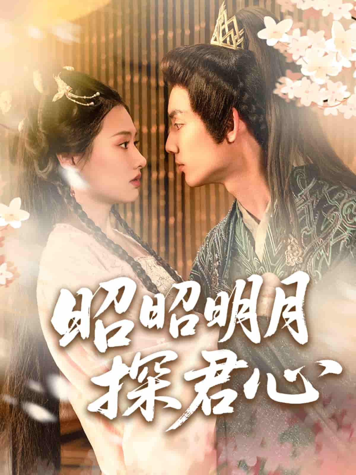 昭昭明月探君心 - 短剧短剧海报图片