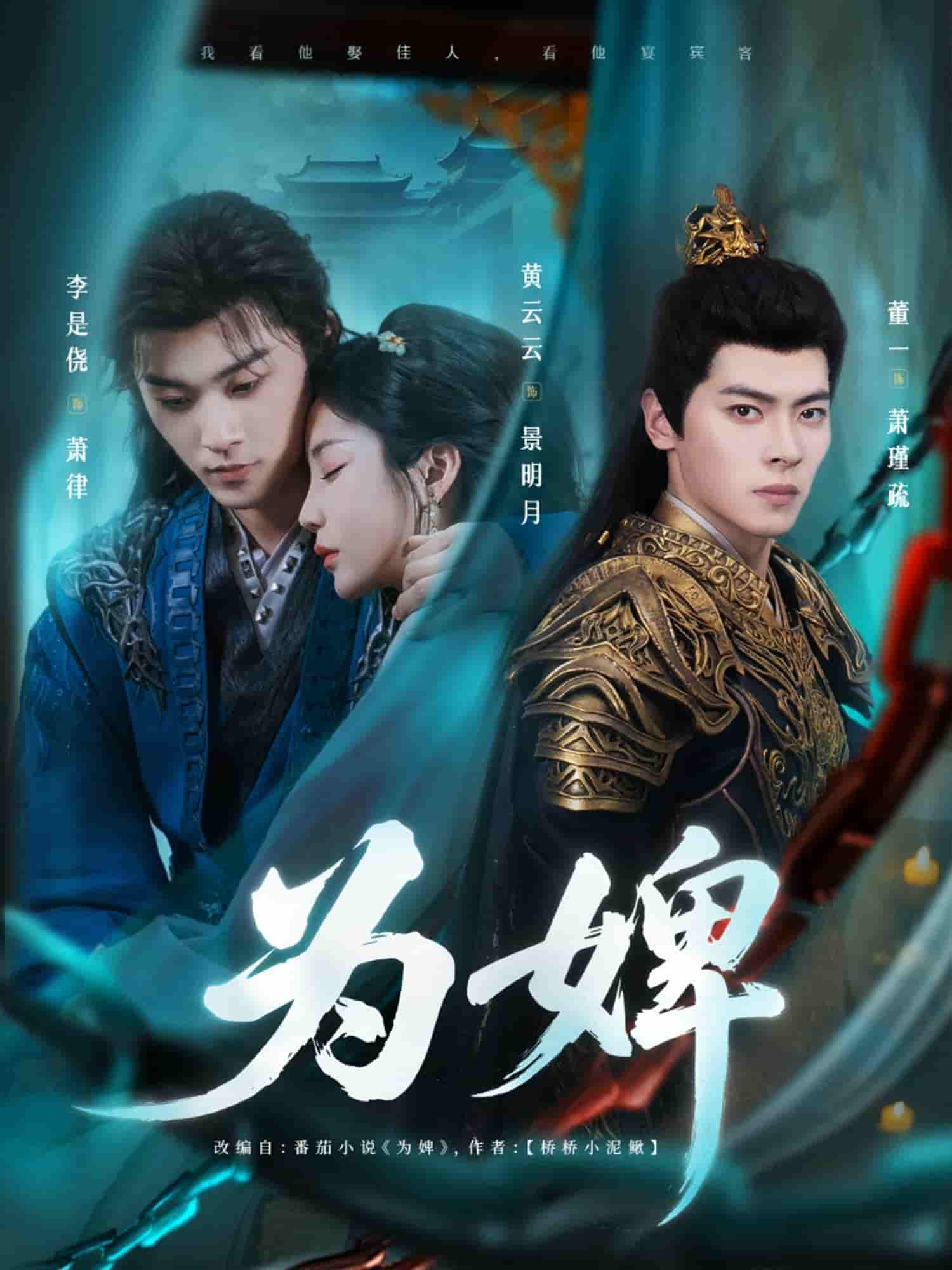 为婢 - 短剧短剧海报图片