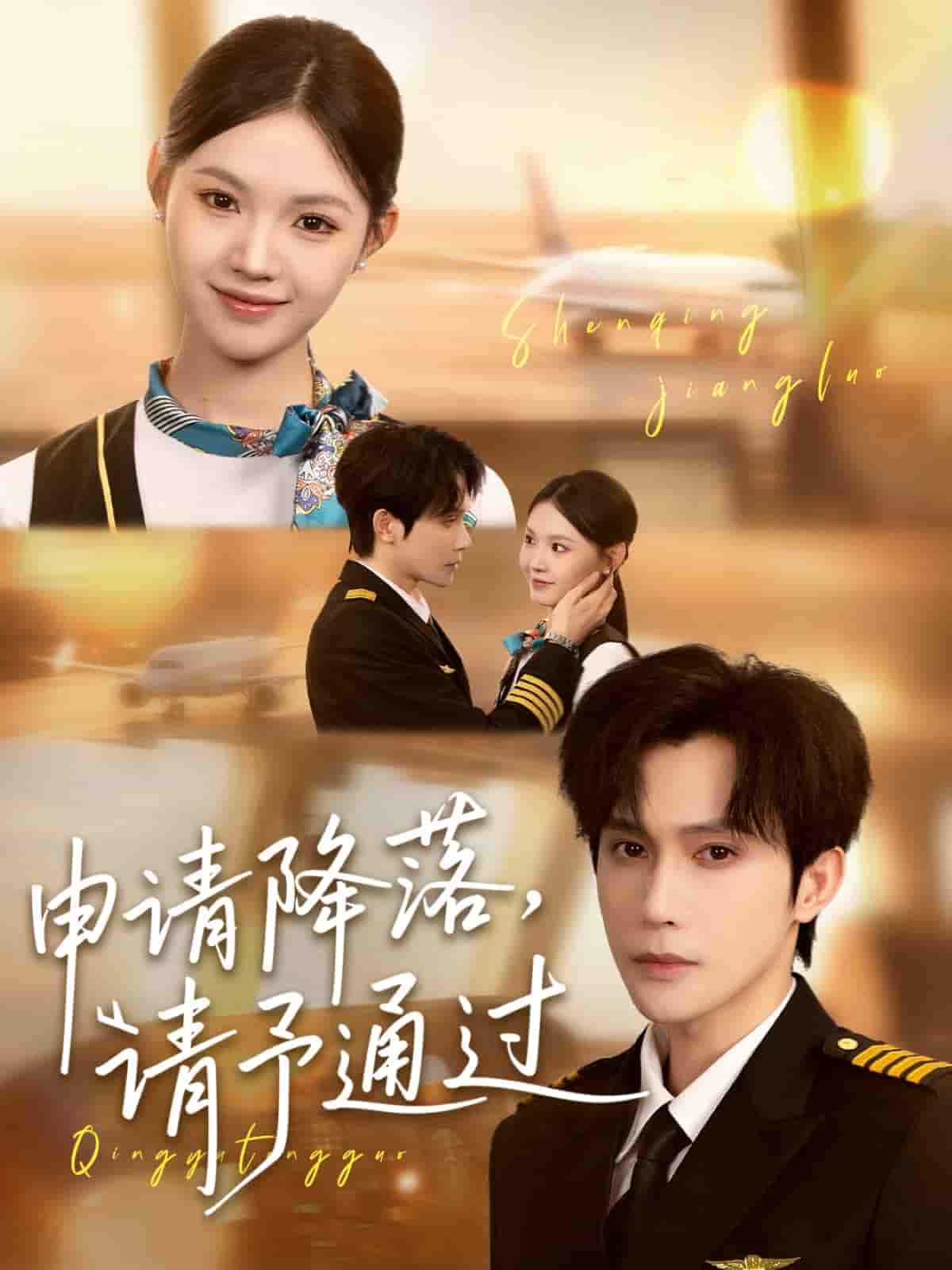 申请降落请予通过 - 短剧短剧海报图片