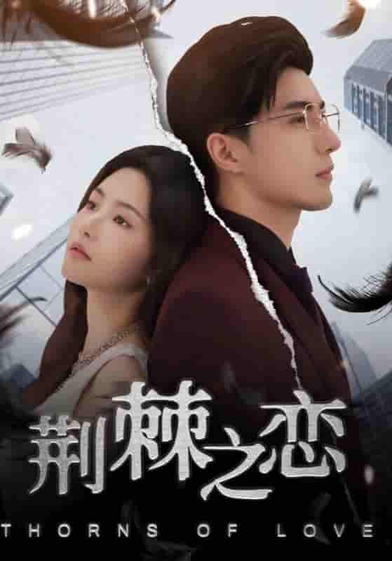 荆棘之恋 - 短剧短剧海报图片