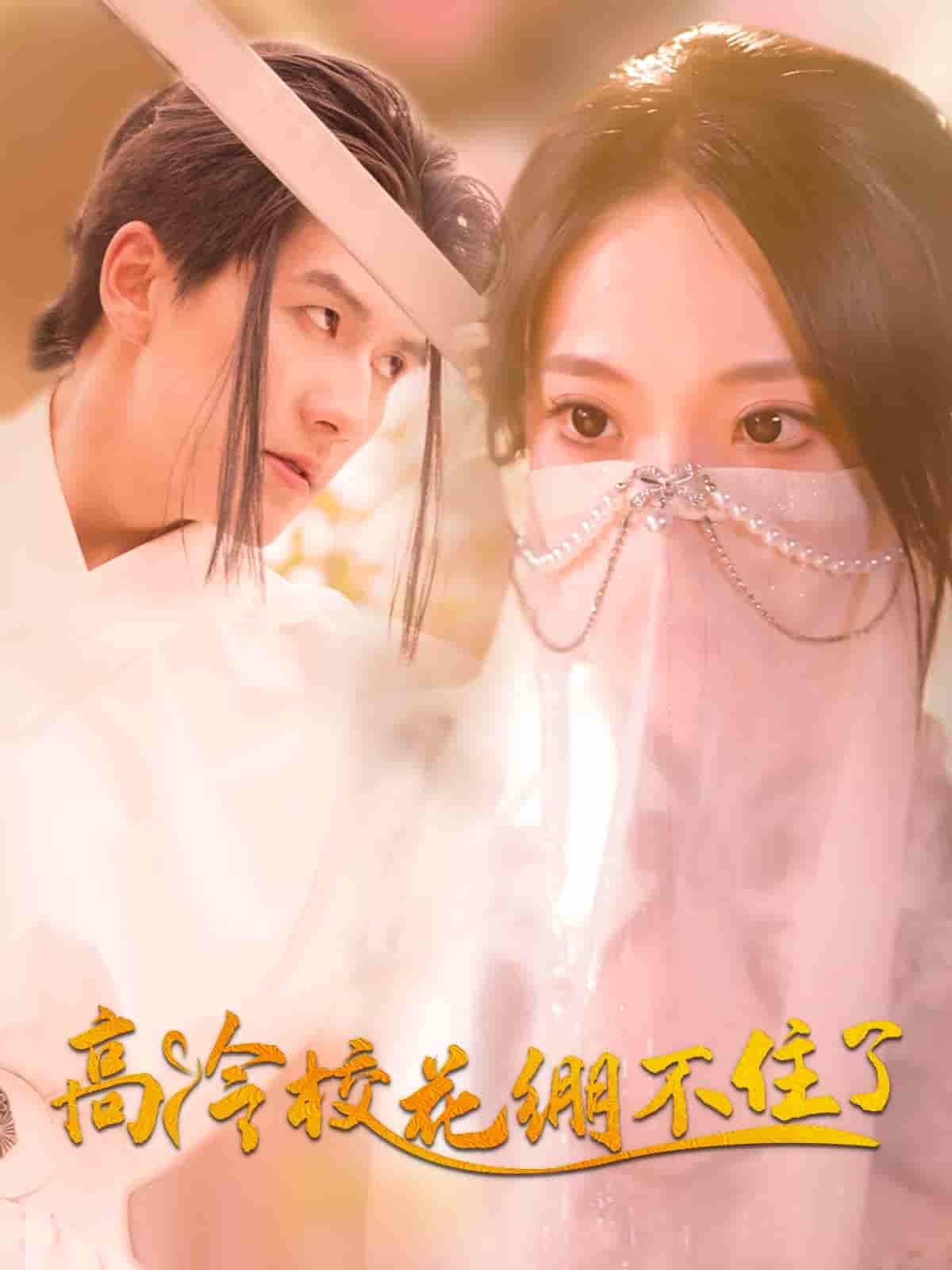 高冷校花绷不住了 - 短剧短剧海报图片