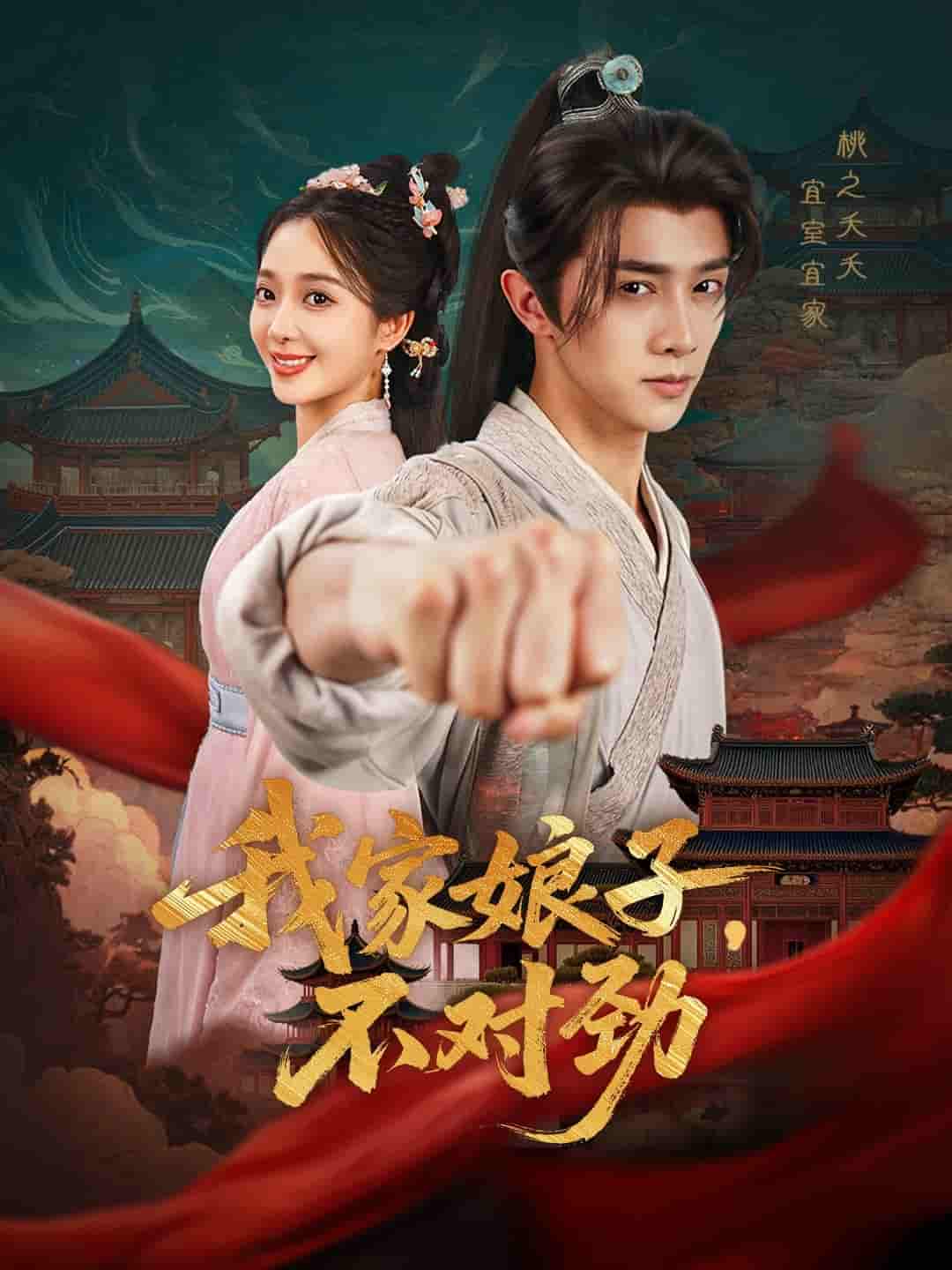 我家娘子不对劲 - 短剧短剧海报图片