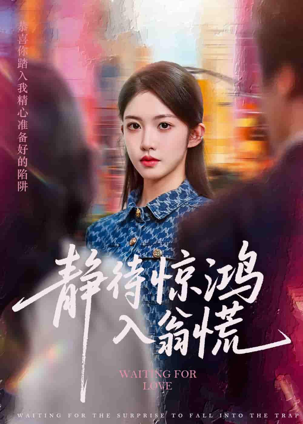 静待惊鸿入翁慌 - 短剧短剧海报图片