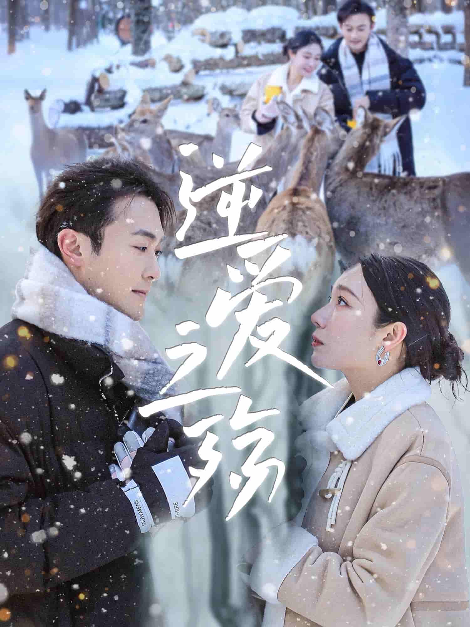 图片描述