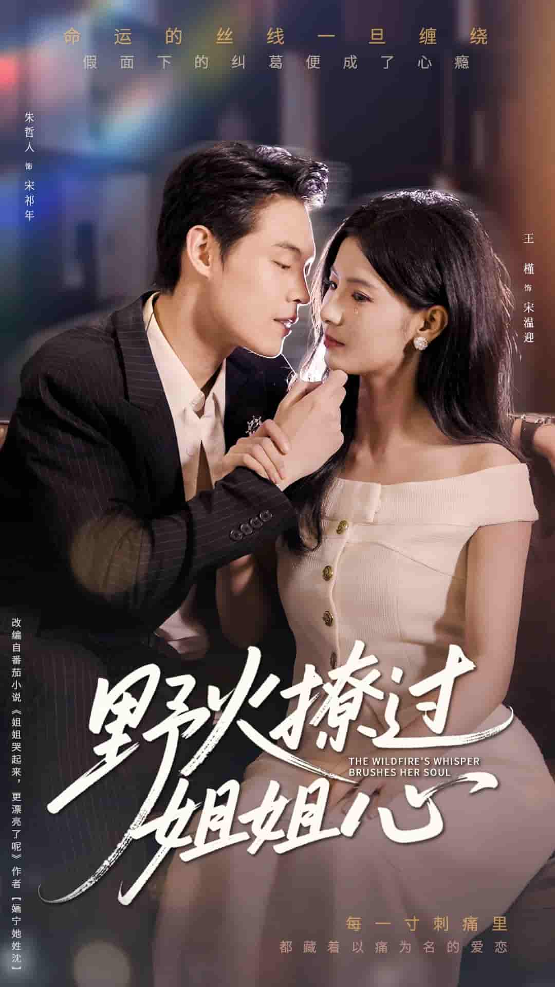 野火撩过姐姐心 - 短剧短剧海报图片