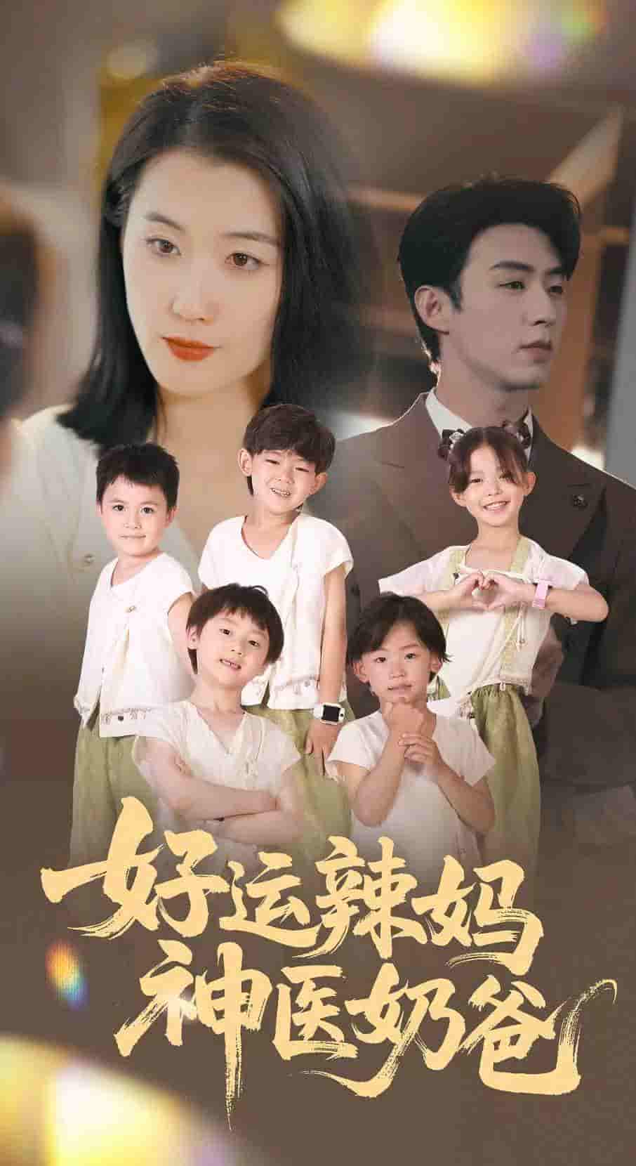 好运辣妈神医奶爸 - 短剧短剧海报图片