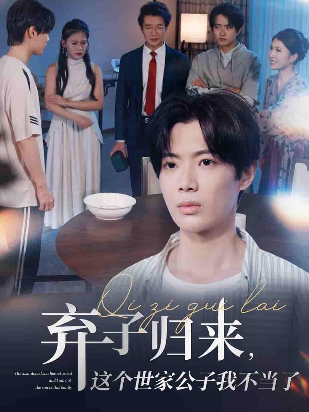 弃子归来这个世家公子我不当了 - 短剧短剧海报图片