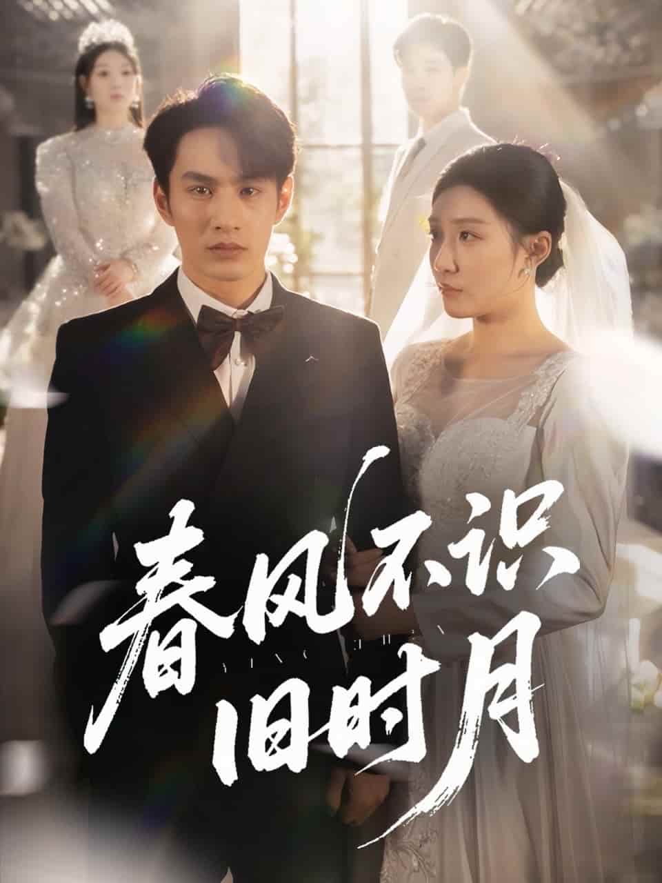 春风不识旧时月 - 短剧短剧海报图片