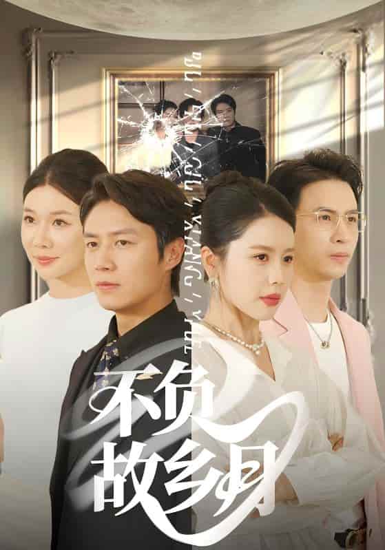 不负故乡月 - 短剧短剧海报图片
