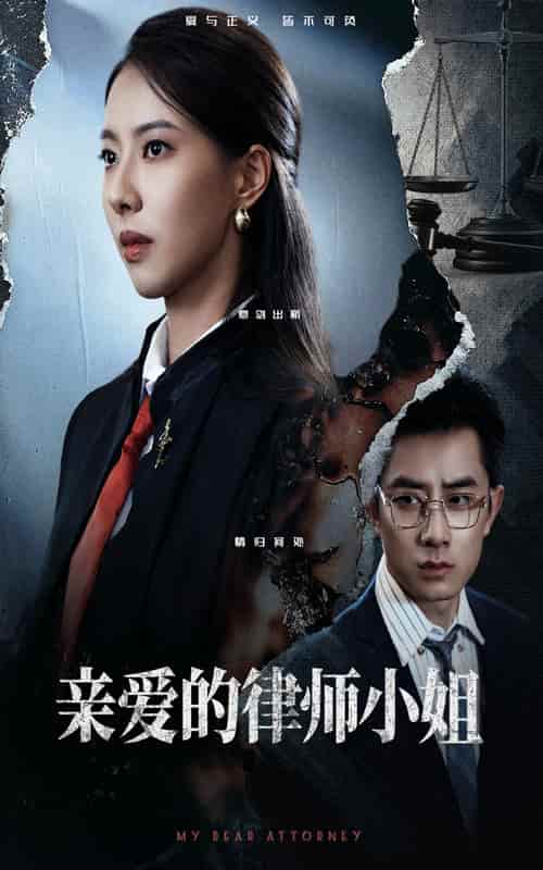 亲爱的律师小姐 - 短剧短剧海报图片