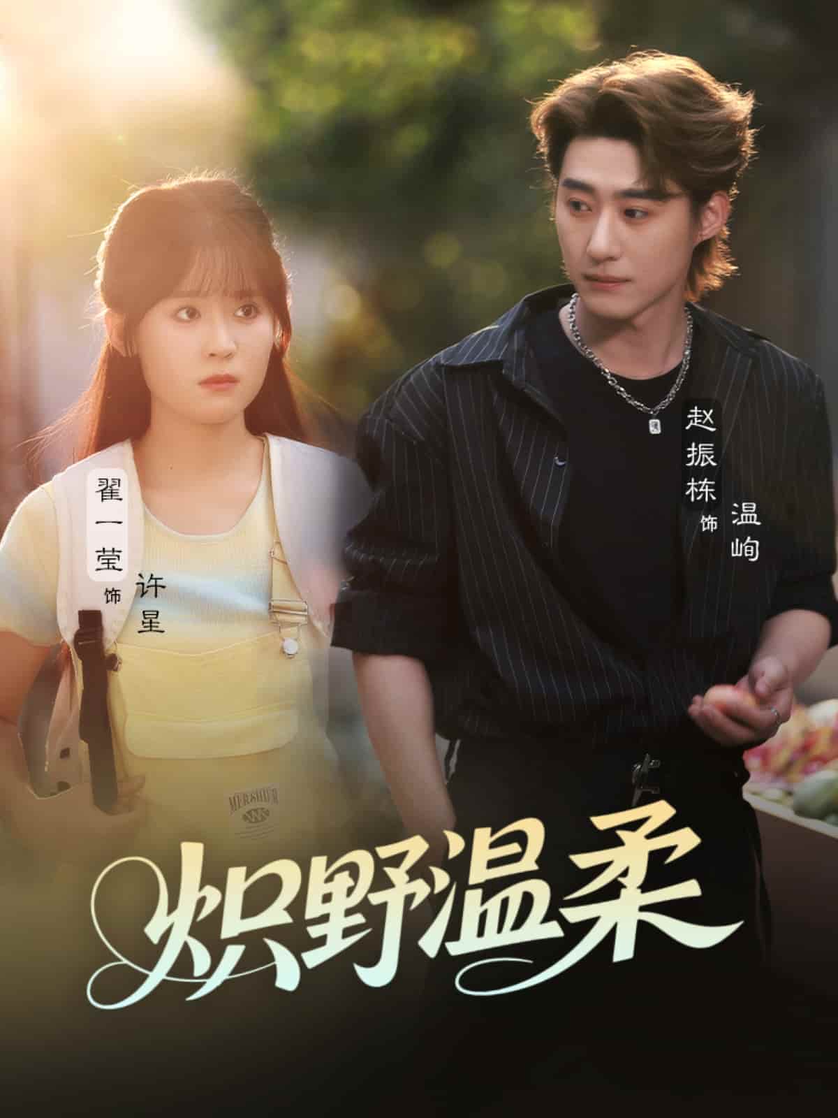 炽野温柔 - 短剧短剧海报图片