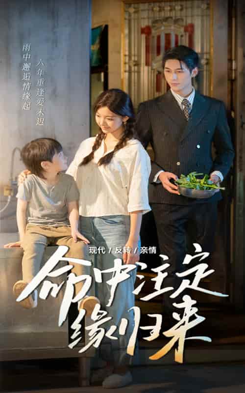 命中注定缘归来 - 短剧短剧海报图片