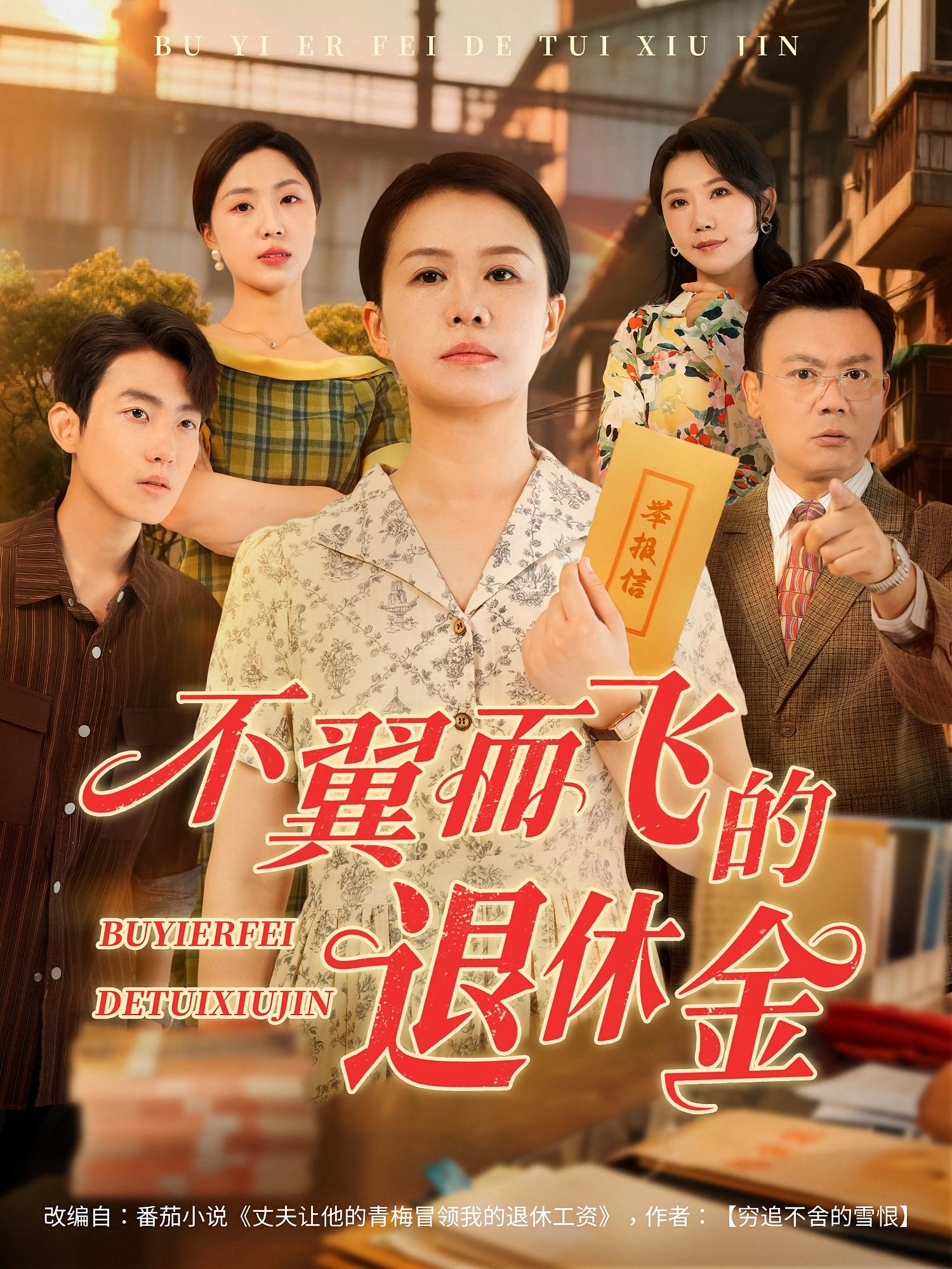 不翼而飞的退休金 - 短剧短剧海报图片
