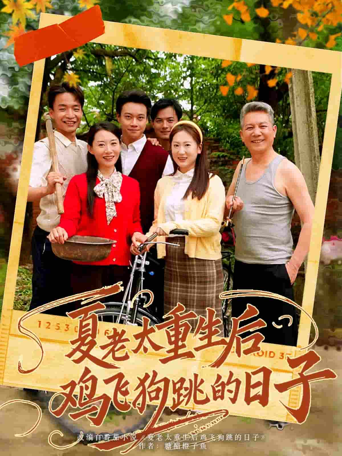 图片描述