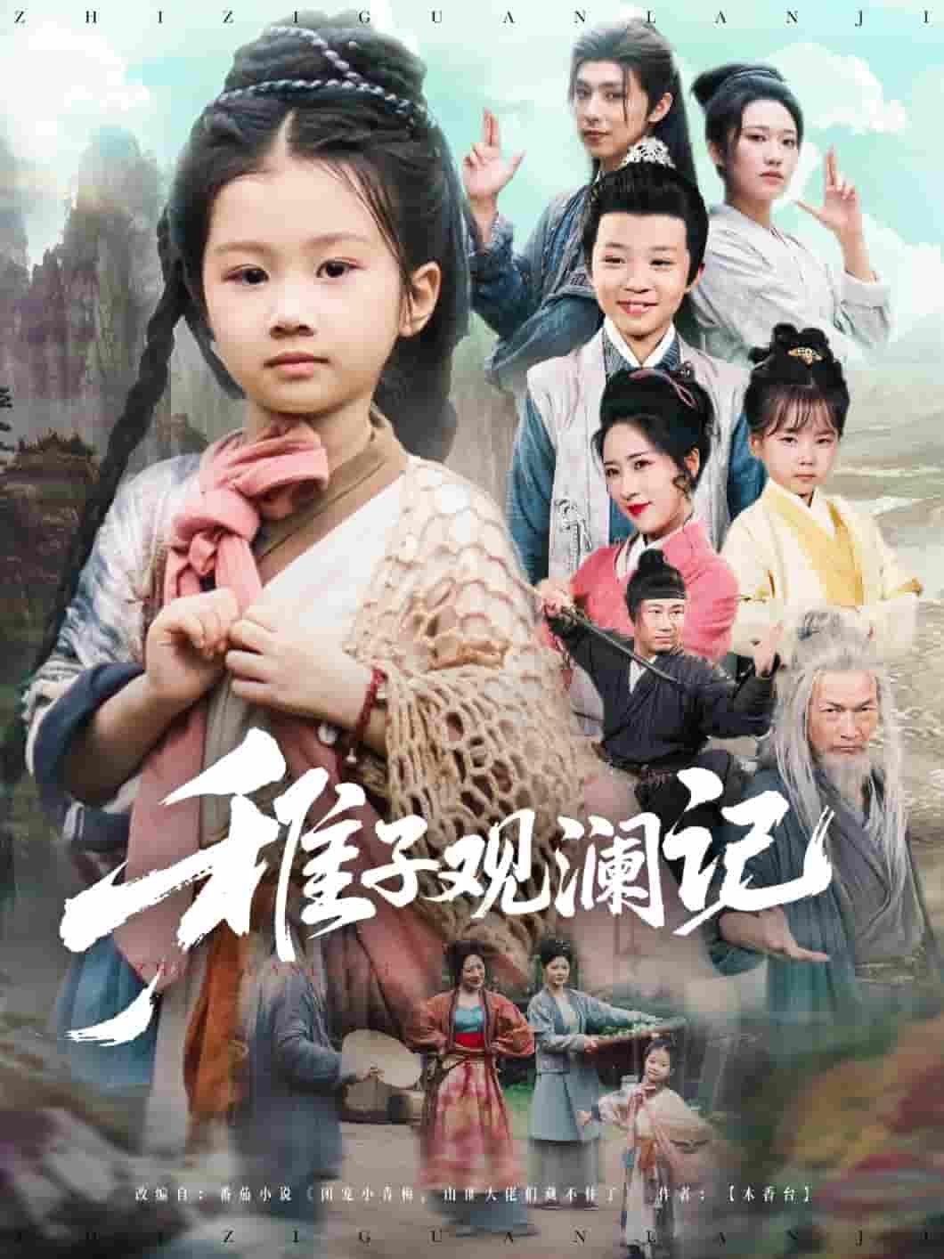 稚子观澜记 - 短剧短剧海报图片