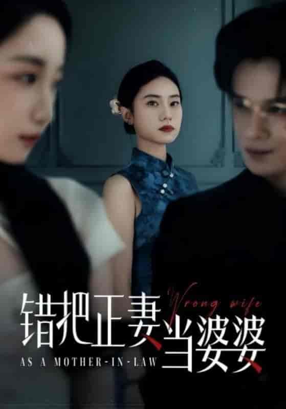 错把正妻当婆婆 - 短剧短剧海报图片