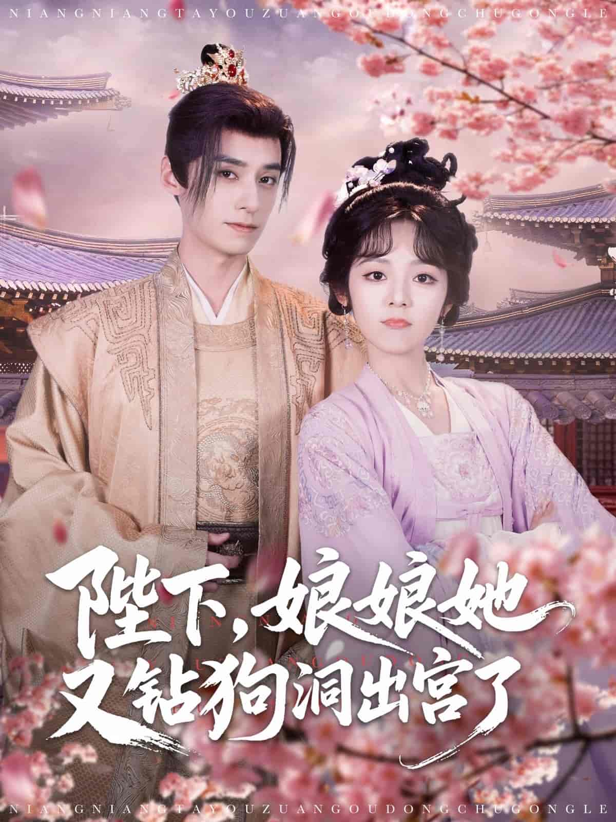 陛下娘娘她又钻狗洞出宫了 - 短剧短剧海报图片