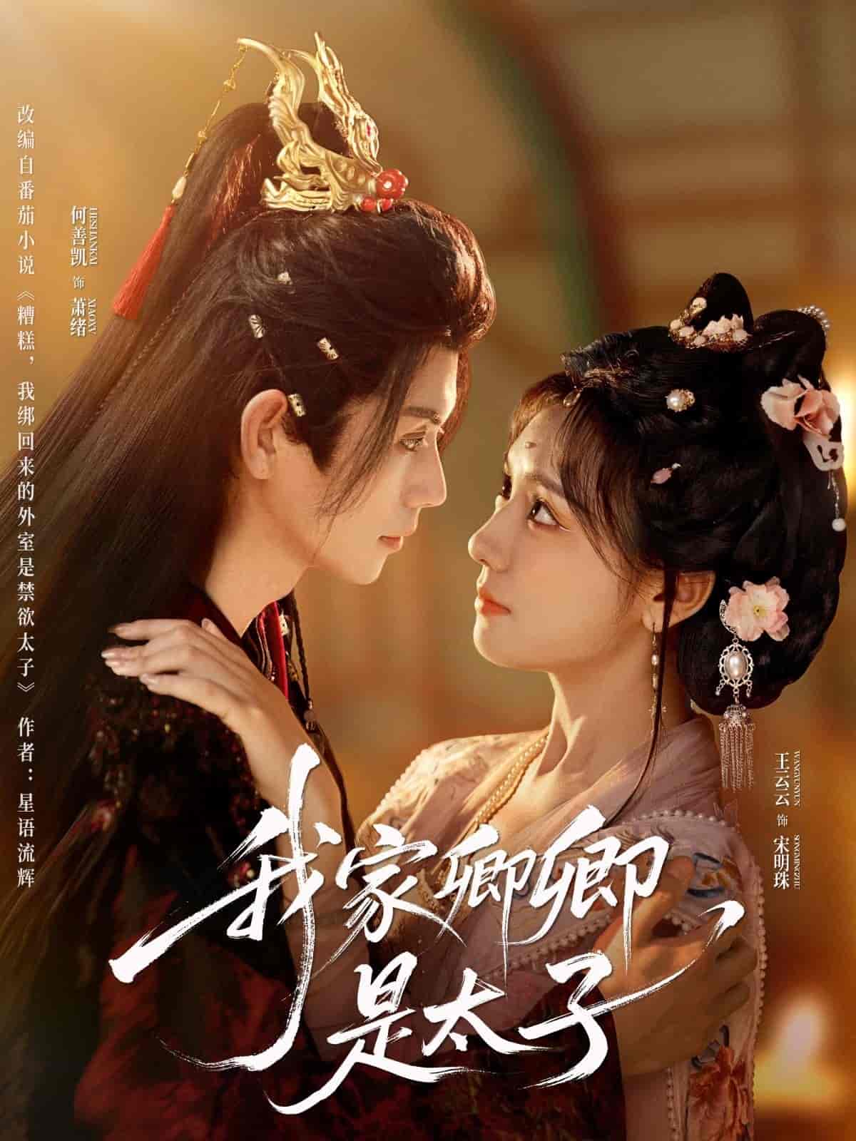 我家卿卿是太子 - 短剧短剧海报图片