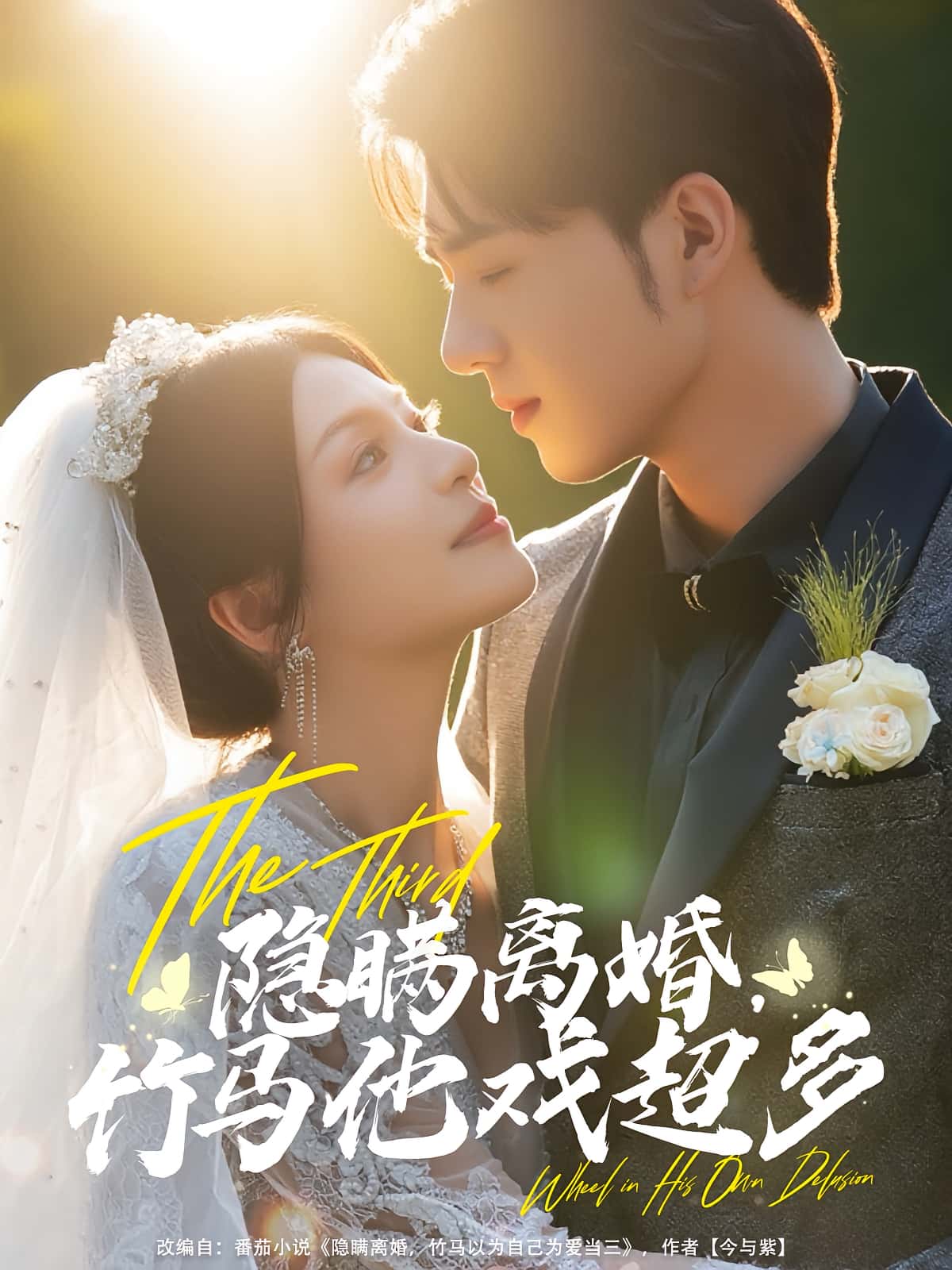 隐瞒离婚竹马他戏超多 - 短剧短剧海报图片