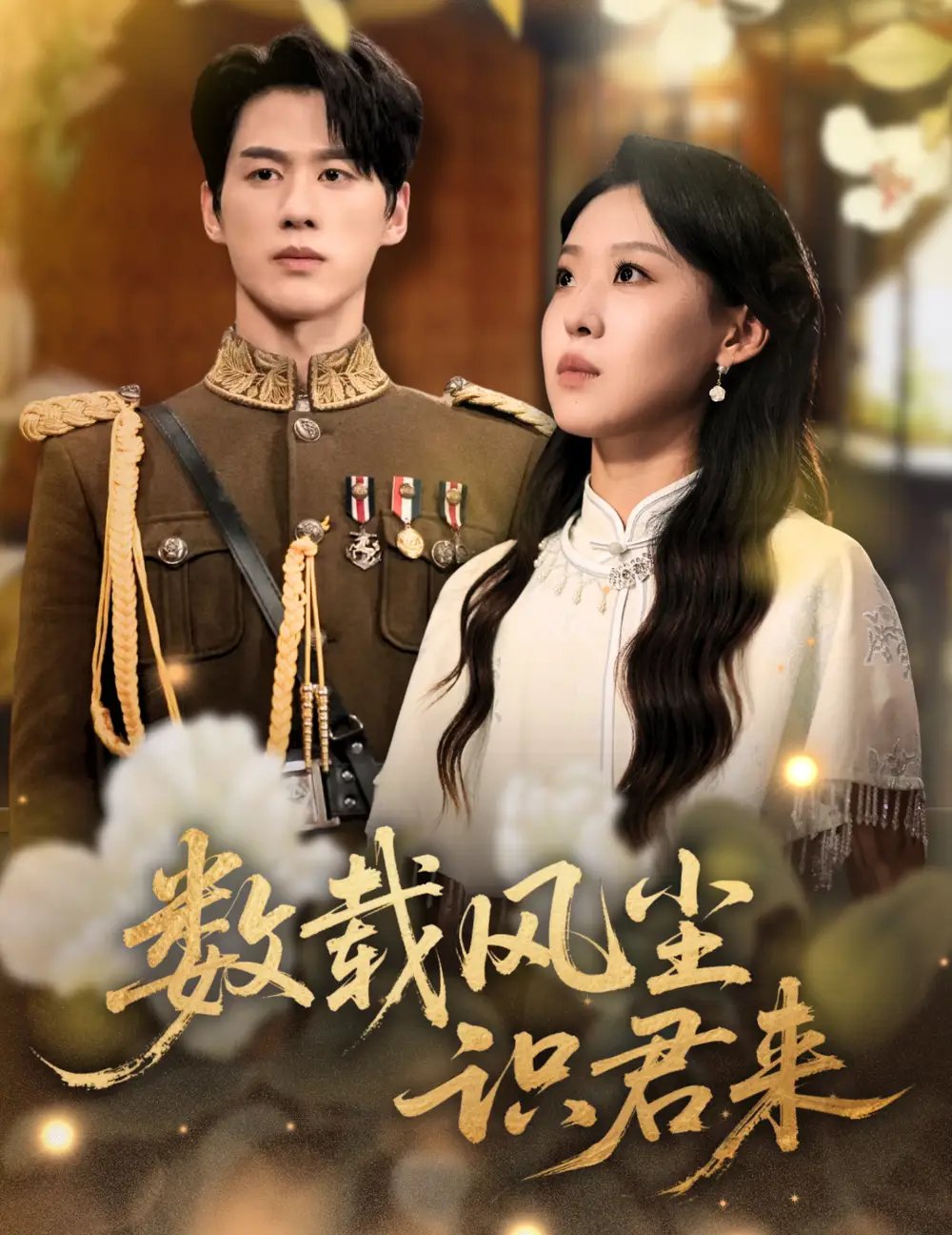 数载风尘识君来 - 短剧短剧海报图片