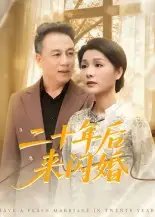 二十年后来闪婚 - 短剧短剧海报图片