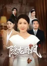 隐龙卧凤 - 短剧短剧海报图片