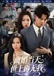 离婚当天世上再无我 - 短剧短剧海报图片