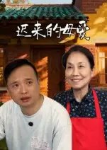 迟来的母爱 - 短剧短剧海报图片