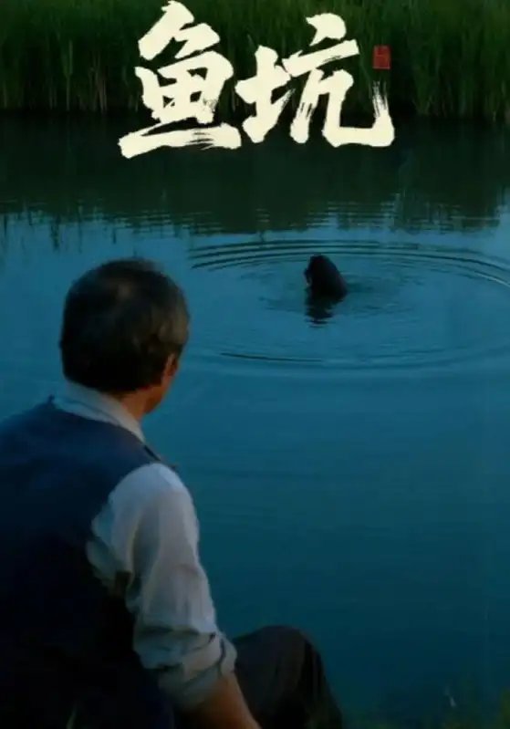 鱼坑 - 短剧短剧海报图片