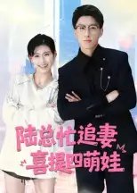 陆总忙追妻，喜提四萌娃&陆总忙追妻喜提四萌娃