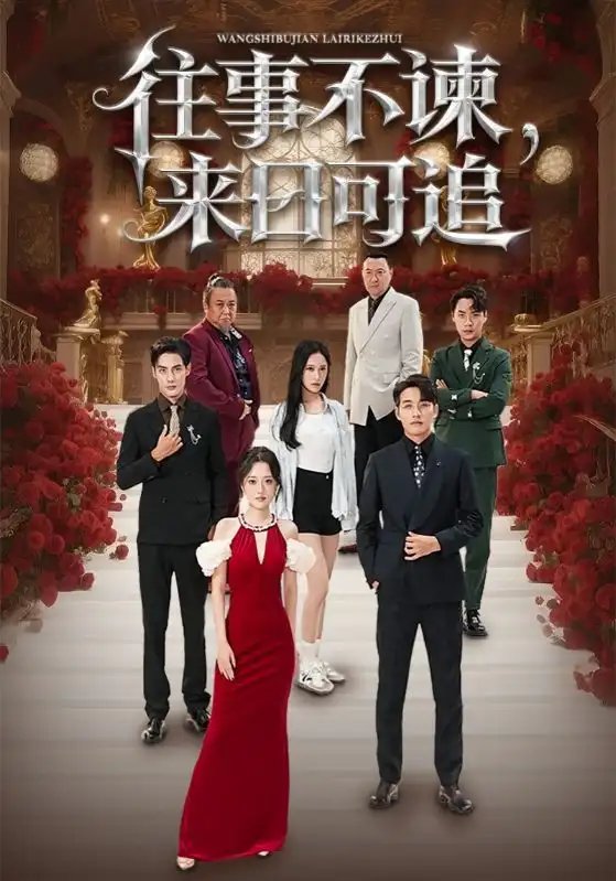 往事不谏来日可追 - 短剧短剧海报图片